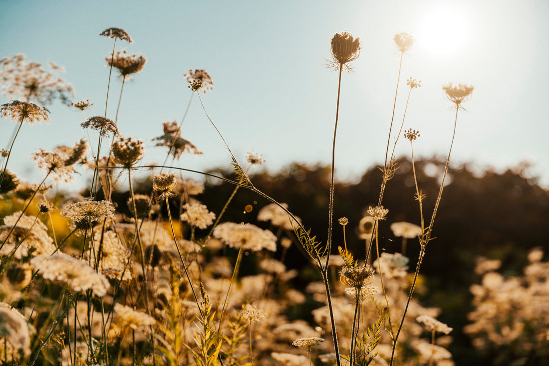 Essential oils for mental health