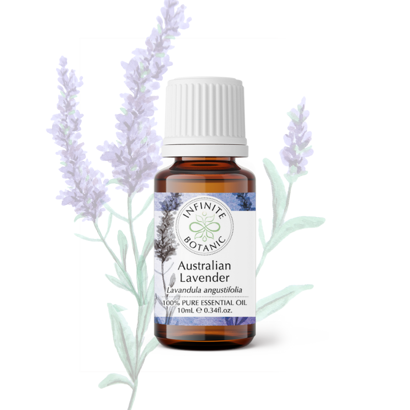 Australian lavender essential oil - 100% pure