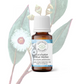 Eucalyptus blue mallee essential oil - 100% pure