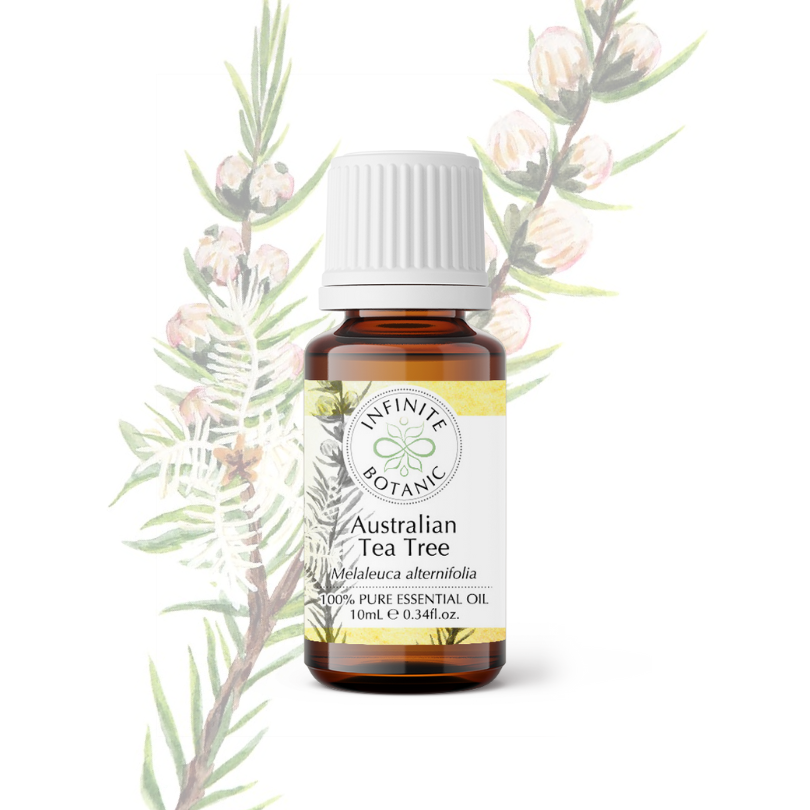 Australian Tea tree essential oil - 100% pure